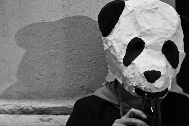 Panda5