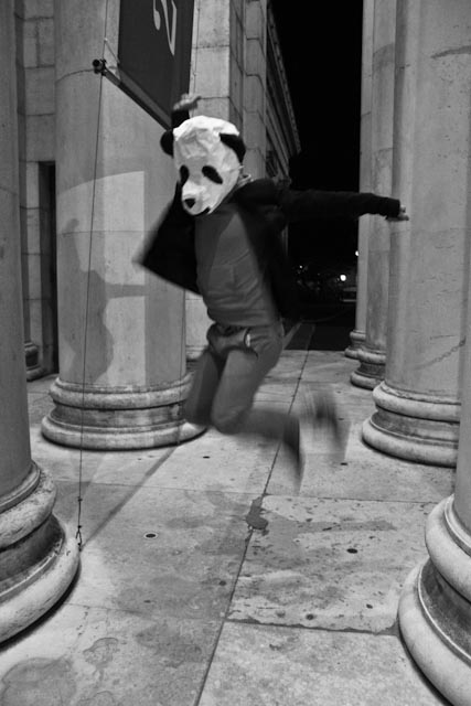 Panda4